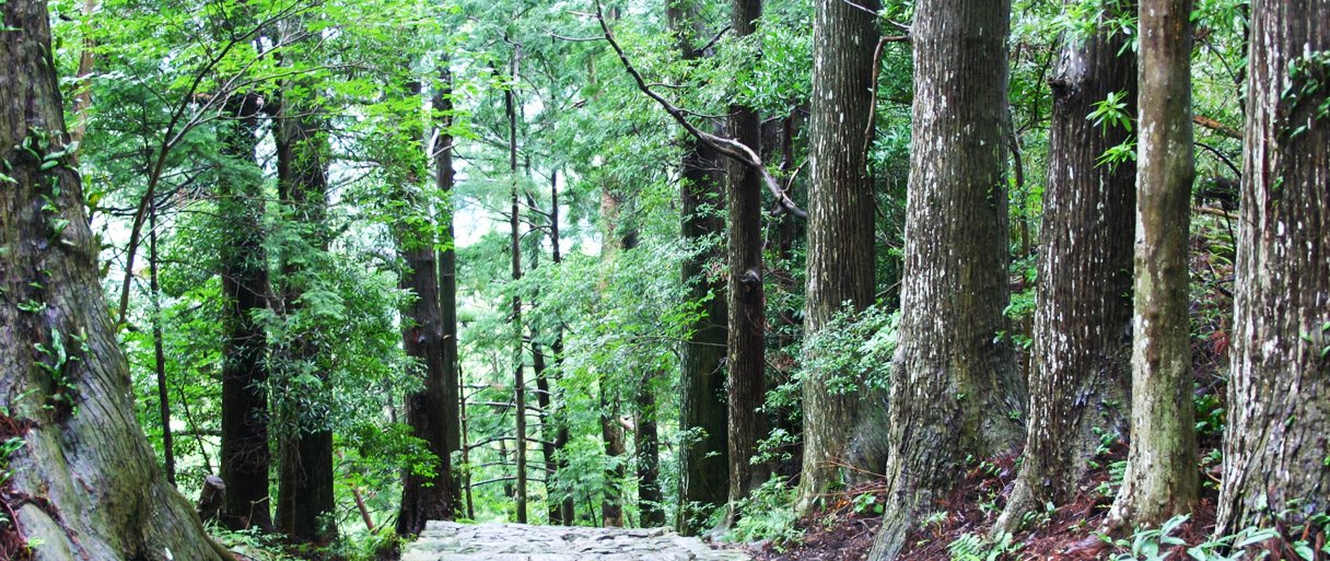 世界遗产 熊野古道