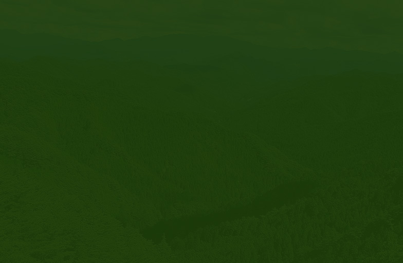 世界遺産 熊野古道