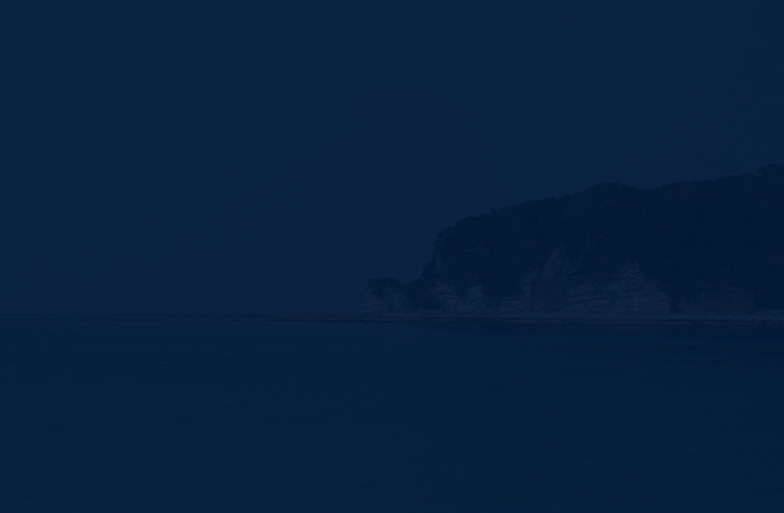 フィッシング