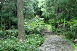 世界遺産 熊野古道