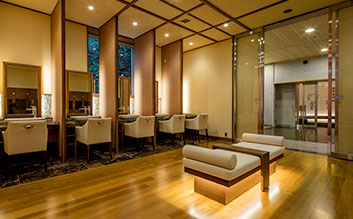 Dressing room and powder area