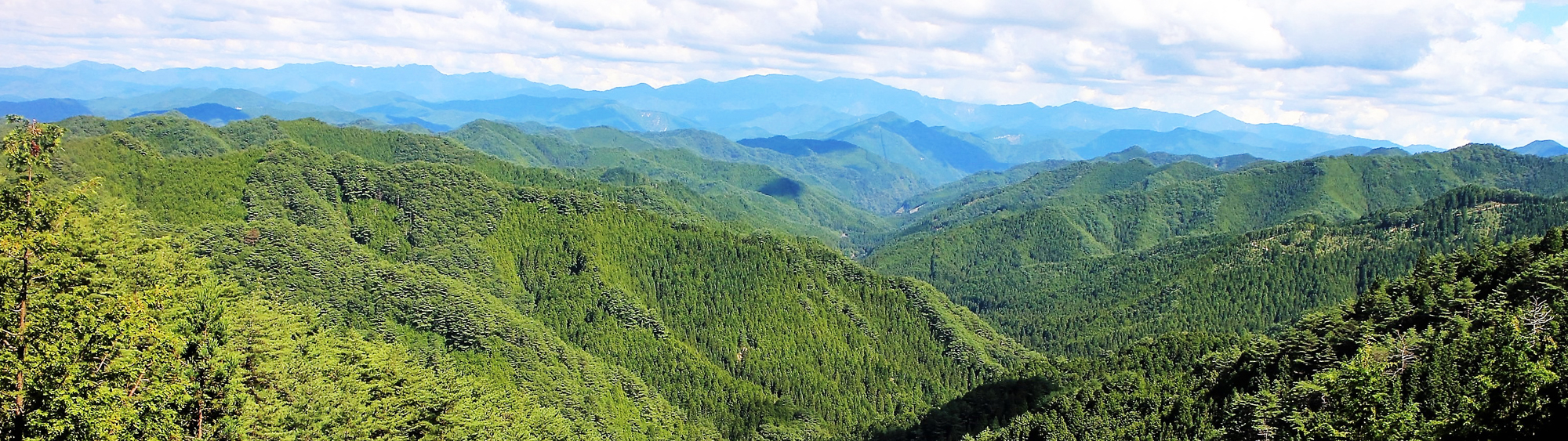 Patrimonio de la Humanidad Kumano Kodo