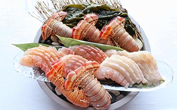 南イセエビと紀州ヒロメのしゃぶしゃぶ