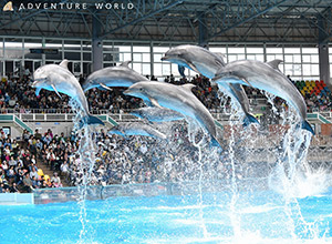 アドベンチャーワールド